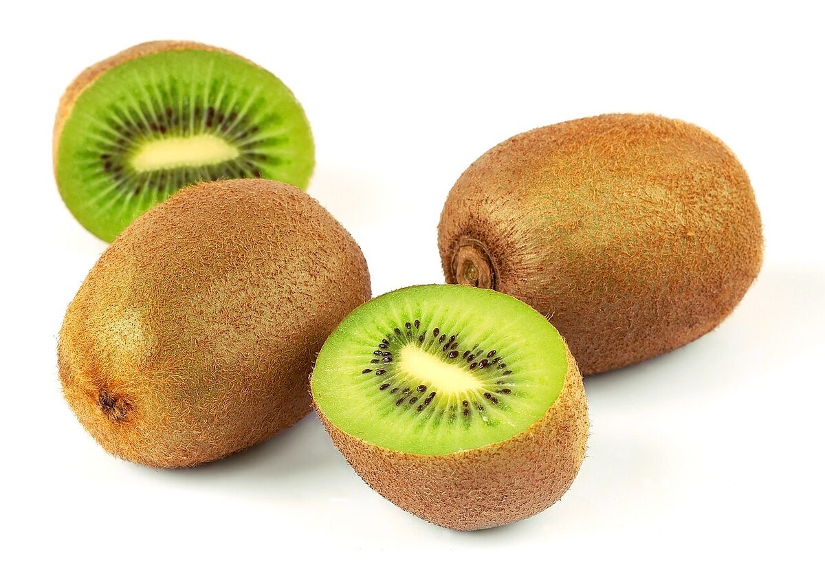 Актинидия (Actinidia) — внешний вид растения