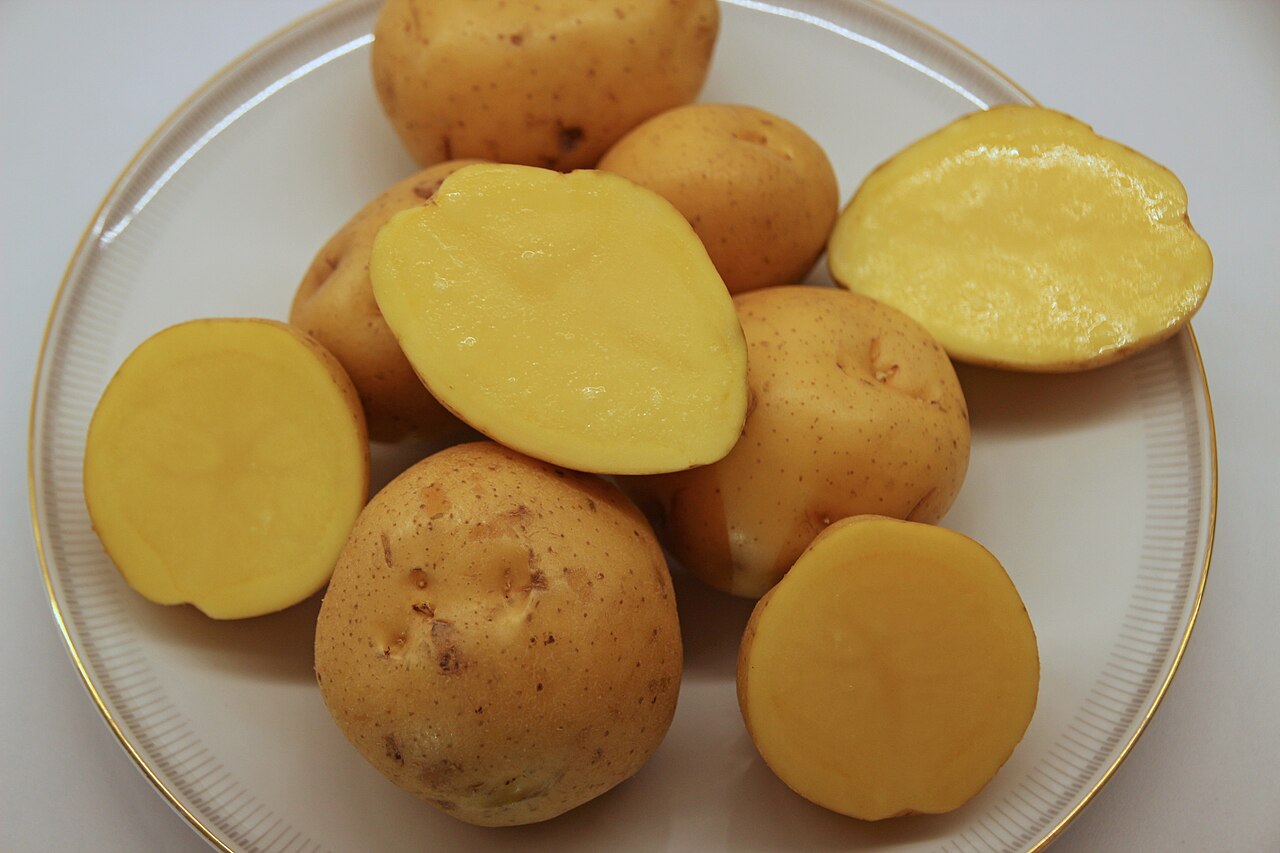 Жёлтые клубни картофеля, целые и разрезанные пополам, на белой тарелке